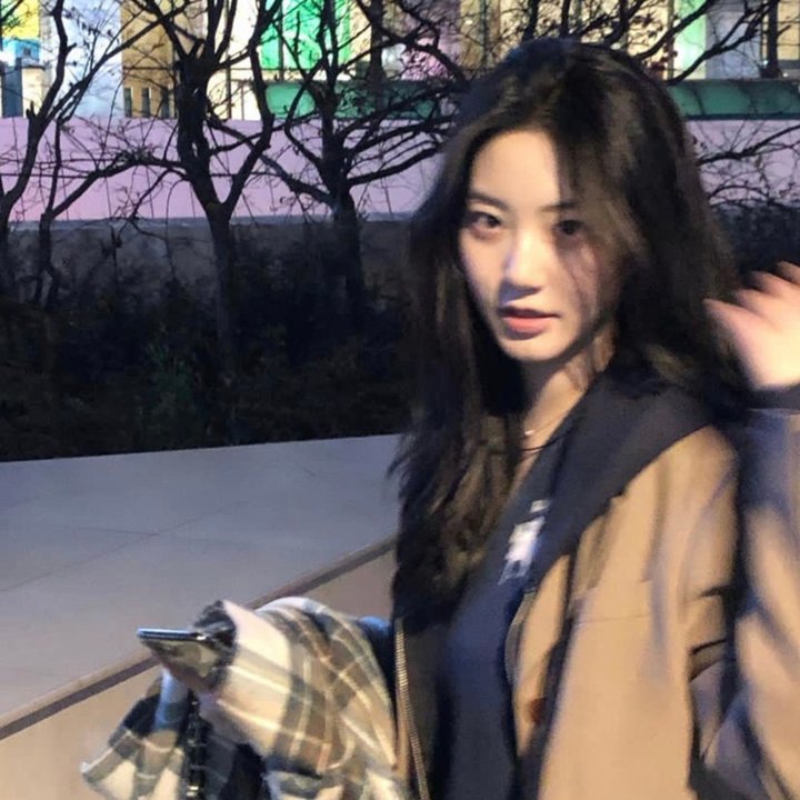绿绮琴挑